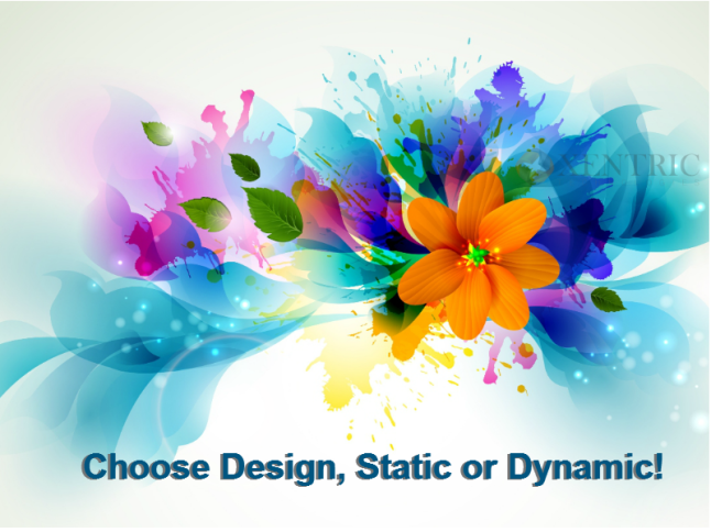 Static or Dynamic Web Design Services